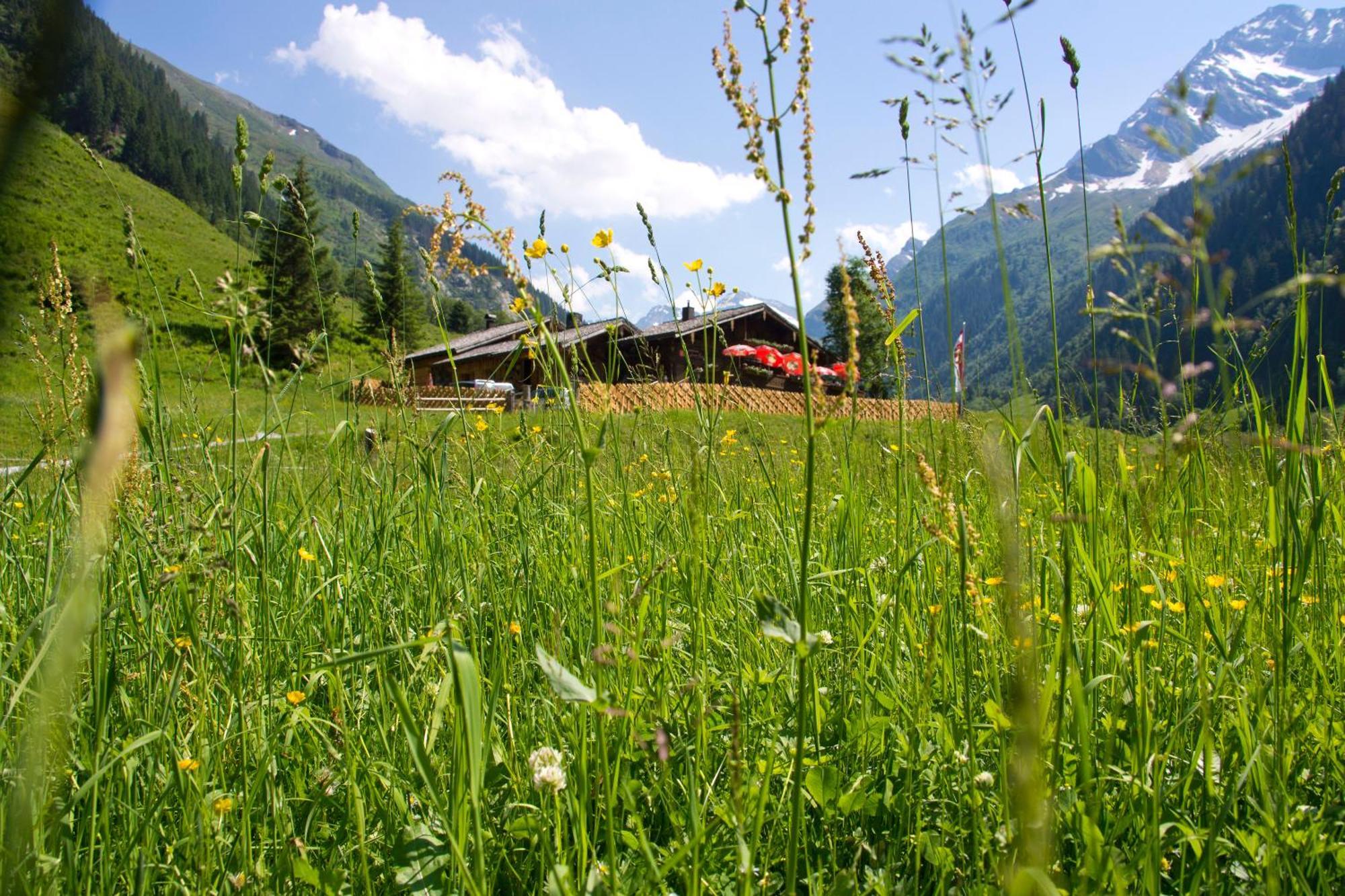 Senninger Alm Bed and Breakfast Hollersbach im Pinzgau Exteriör bild